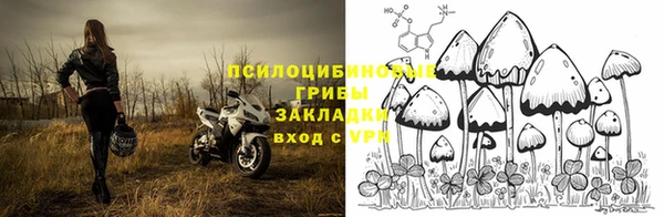 экстази Краснослободск