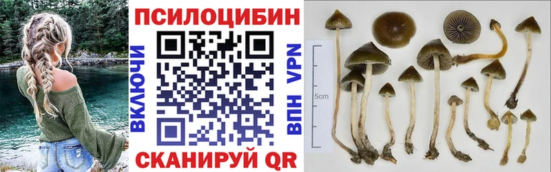 Купить где  Ессентуки  Псилоцибиновые грибы прущие грибы 